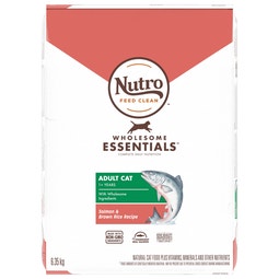 NUTRO™ WHOLESOME ESSENTIALS™ Adult Salmon & Brown Rice Recipe image