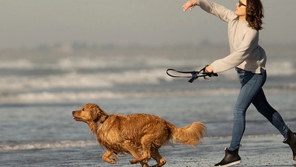 why owning a dog can be good for your health new