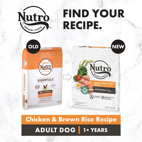 NUTRO™ NATURAL CHOICE™ Adult Chicken & Brown Rice Recipe image 1