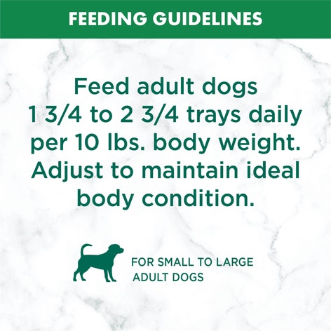 NUTRO™ Natural Choice™ Adult Cuts in Gravy Simmered Beef & Potato Stew image 1