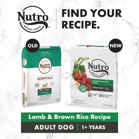 NUTRO™ NATURAL CHOICE™ Small Bites Adult Lamb & Brown Rice Recipe image 1