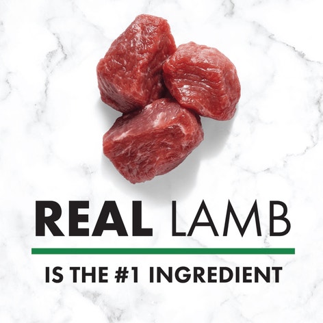 NUTRO™ NATURAL CHOICE™ Small Bites Adult Lamb & Brown Rice Recipe image 1