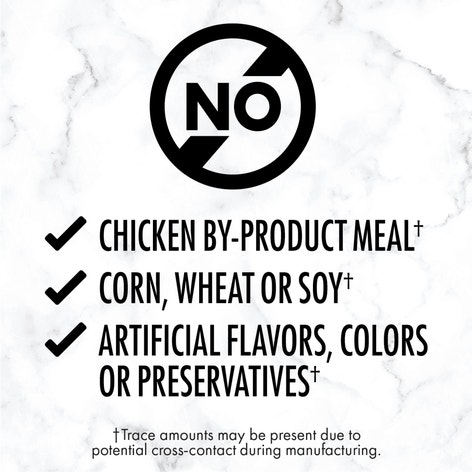 NUTRO™ Natural Choice™ Premium Loaf Adult Beef, Sweet Potato & Carrot Recipe image 1