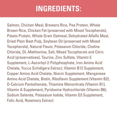 NUTRO™ WHOLESOME ESSENTIALS™ Adult Salmon & Brown Rice Recipe image 1