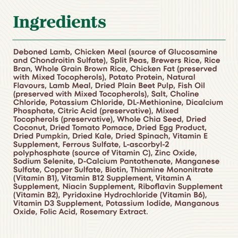 NUTRO NATURAL CHOICE Large Breed Puppy Lamb & Brown Rice Recipe image 1