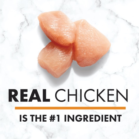 NUTRO™ Natural Choice™ Adult Paté Slow Cooked Chicken Recipe image 1