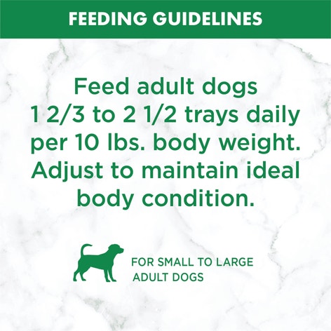 NUTRO™ Natural Choice™Adult Cuts in Gravy Tender Chicken, Sweet Potato & Pea Stew image 1