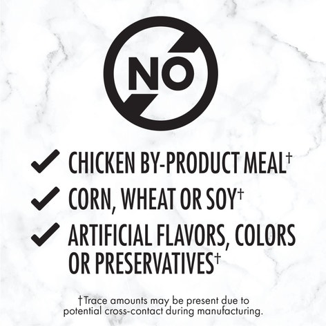 NUTRO™ Natural Choice™Adult Paté Slow Cooked Chicken and Tender Beef Recipe image 1