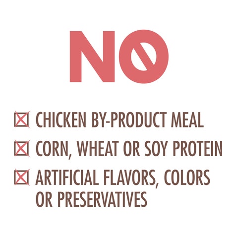 NUTRO™ WHOLESOME ESSENTIALS™ Adult Salmon & Brown Rice Recipe image 1