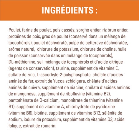 Nourriture sèche pour chats adultes NUTRO(MC) WHOLESOME ESSENTIALS(MC) Recette avec poulet et riz brun image 1