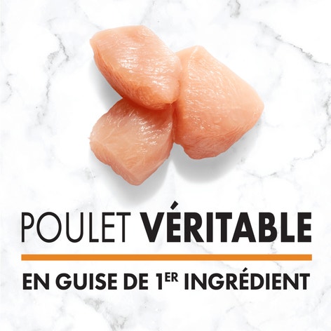Nourriture humide pour chiens adultes NUTRO(MC) Natural Choice(MC) Pain de viande de première qualité Recette avec poulet, pommes de terre, carottes et petits pois image 1