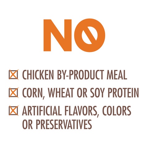 NUTRO™ WHOLESOME ESSENTIALS™ Kitten Chicken & Brown Rice Recipe image 1