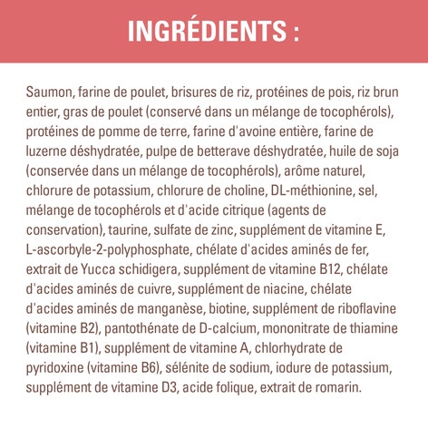 Nourriture sèche pour chats adultes NUTRO(MC) WHOLESOME ESSENTIALS(MC) Recette avec saumon et riz brun image 1