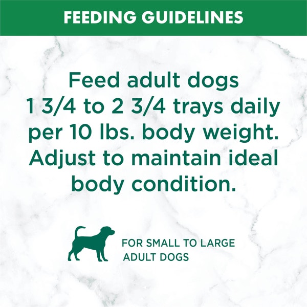 NUTRO™ Natural Choice™ Adult Cuts in Gravy Simmered Beef & Potato Stew image 4