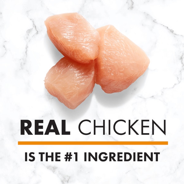 NUTRO™ NATURAL CHOICE™ Small Breed Adult Chicken & Brown Rice Recipe image 2