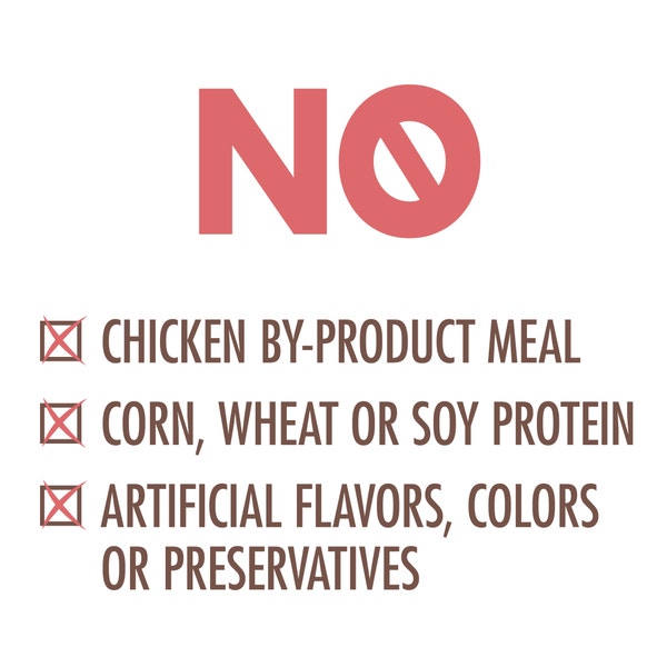 NUTRO™ WHOLESOME ESSENTIALS™ Adult Salmon & Brown Rice Recipe image 2