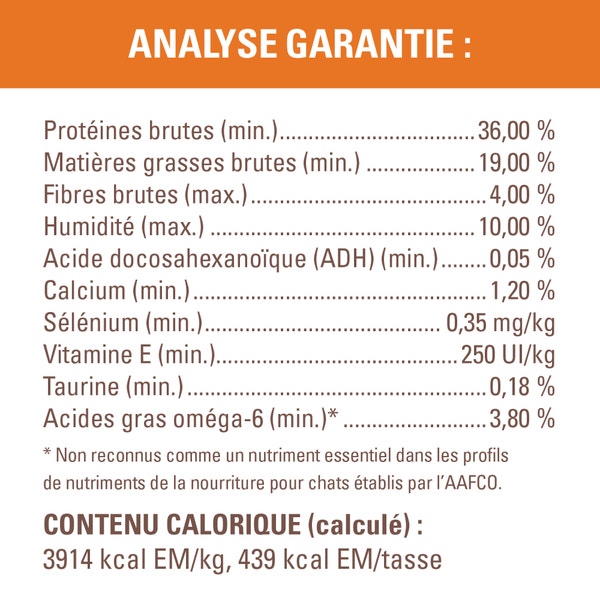 Nourriture sèche pour chatons NUTRO(MC) WHOLESOME ESSENTIALS(MC) Recette avec poulet et riz brun image 5