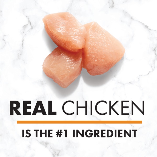 NUTRO™ Natural Choice™Adult Cuts in Gravy Tender Chicken, Sweet Potato & Pea Stew image 3