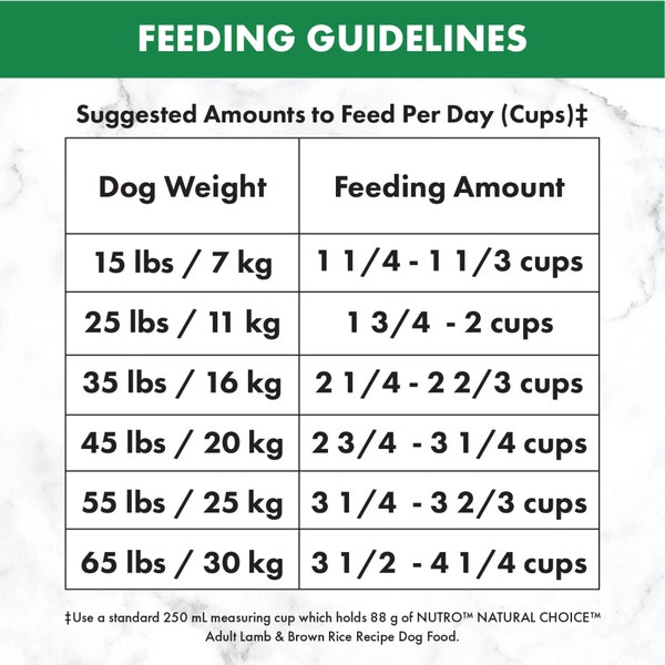 NUTRO™ NATURAL CHOICE™ Adult Lamb & Brown Rice Recipe image 4