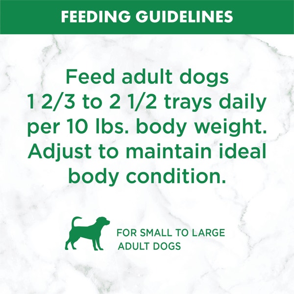 NUTRO™ Natural Choice™Adult Cuts in Gravy Tender Chicken, Sweet Potato & Pea Stew image 4