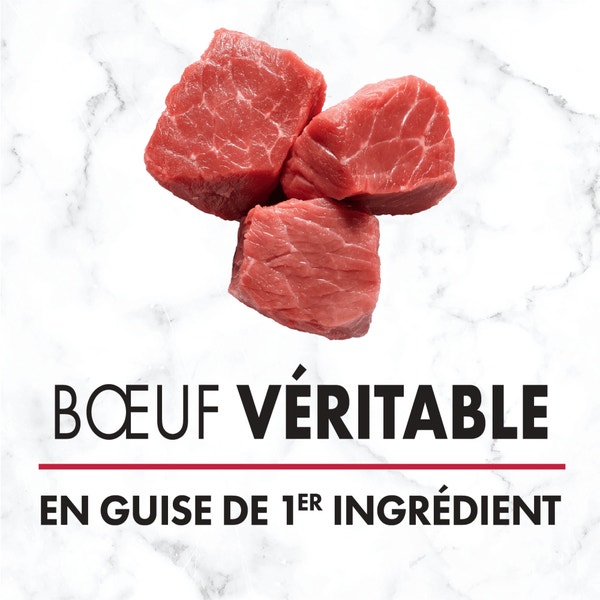 Nourriture humide pour chiens adultes NUTRO(MC) Natural Choice(MC) Pain de viande de première qualité Recette avec bœuf, patates douces et carottes image 2