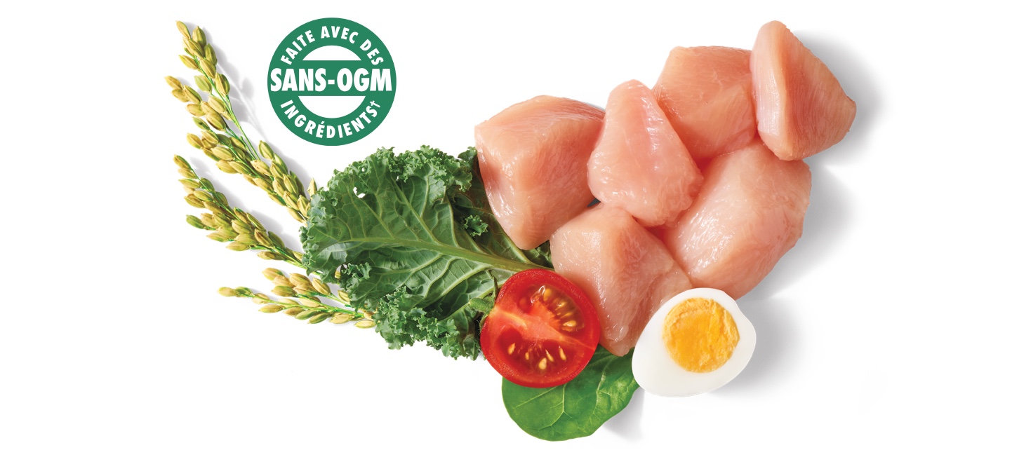 dog-chicken-gmo-ingredients-U-FRCA-lg.jpg
