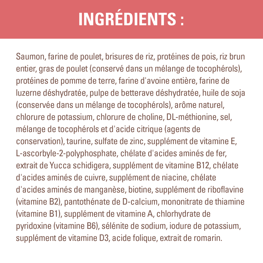 Nourriture sèche pour chats adultes NUTRO(MC) WHOLESOME ESSENTIALS(MC) Recette avec saumon et riz brun ingredients image