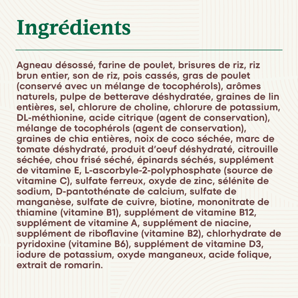 Nourriture sèche pour chiens adultes NUTRO NATURAL CHOICE Recette avec agneau et riz brun ingredients image