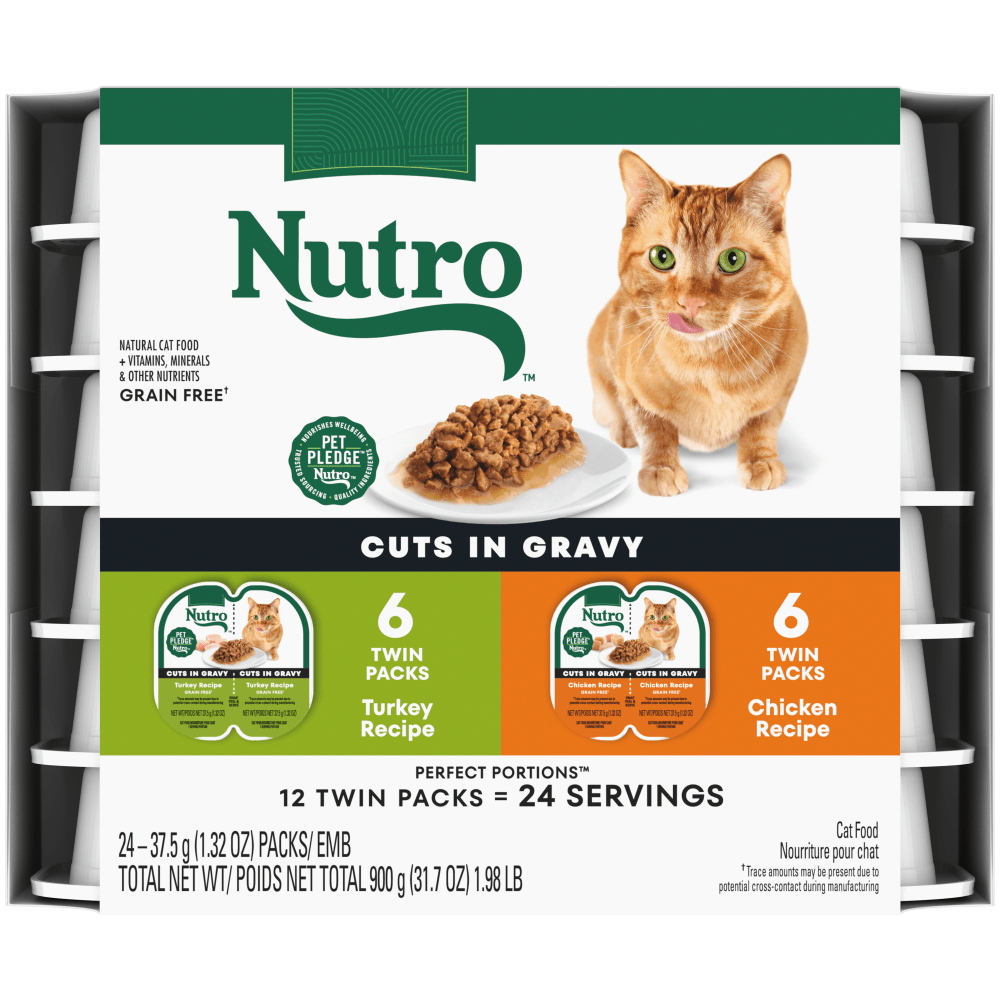 Cat Food Recipe: Wholesome Homemade Delights